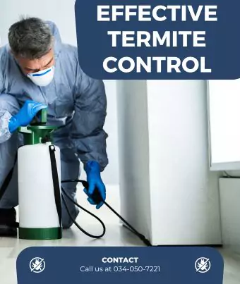 Health Benefits of Effective Termite Control