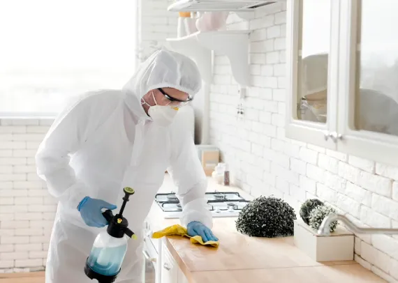 same day pest control